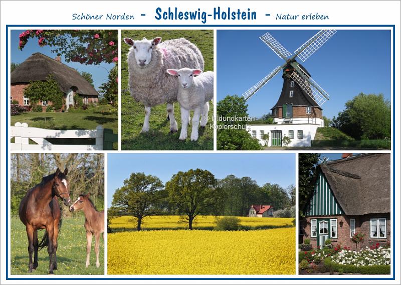 1426 S-H  Natur erleben (I)..jpg